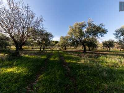 Oltrepassato l�ostacolo ci incamminiamo lungo un sentiero di campagna in salita...